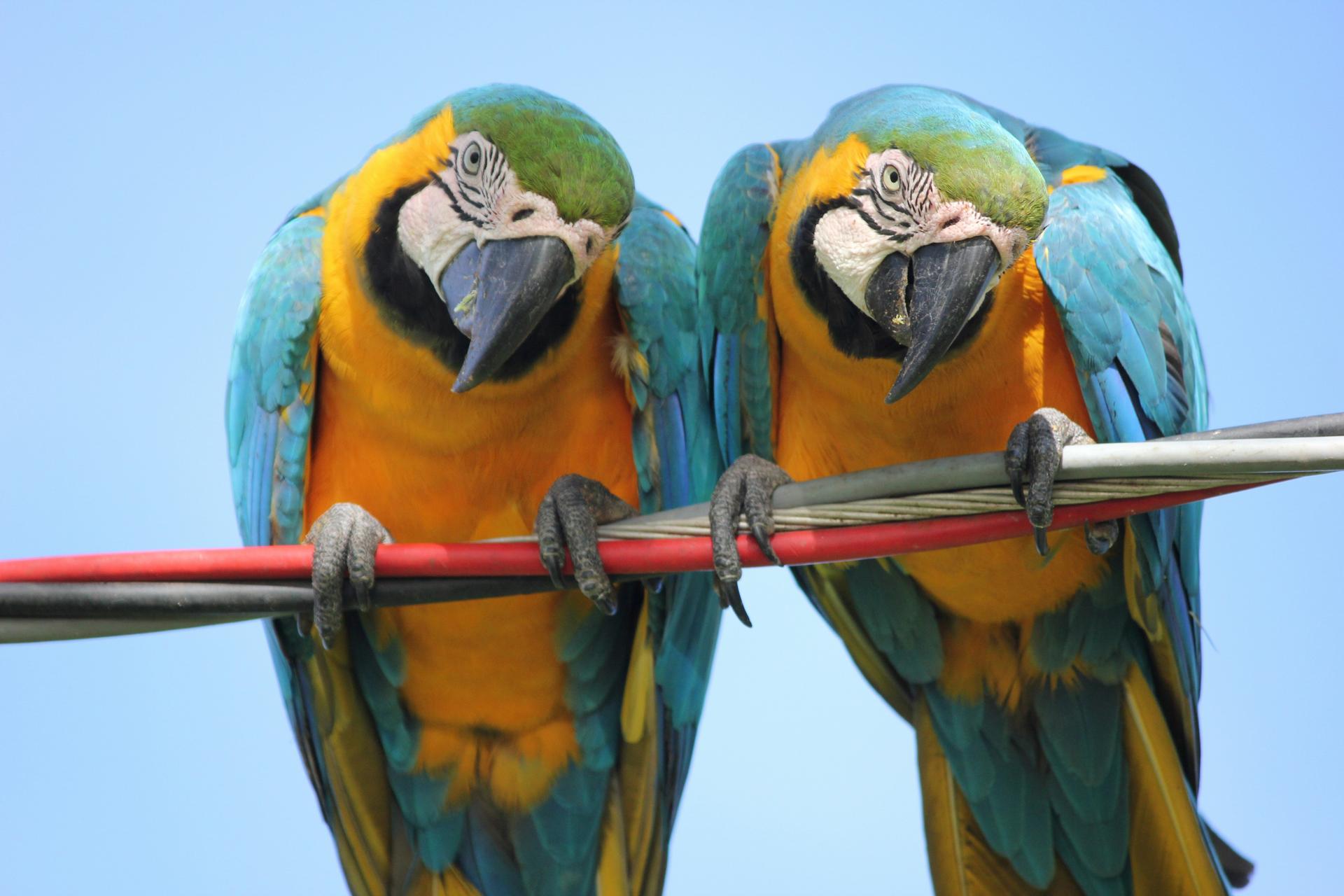 Selina und Nicola Erne &ndash; RioMove Gr&uuml;nder in Rio de Janeiro
