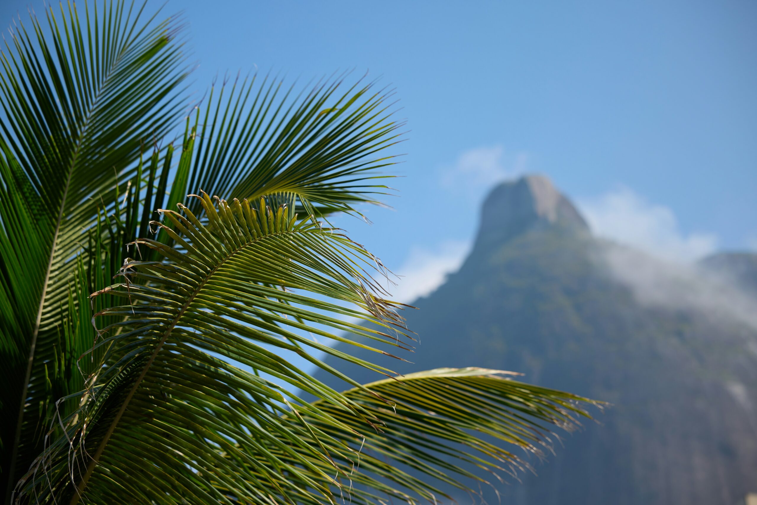 Visum Brasilien – Aufenthaltstitel für Schweizer und Deutsche