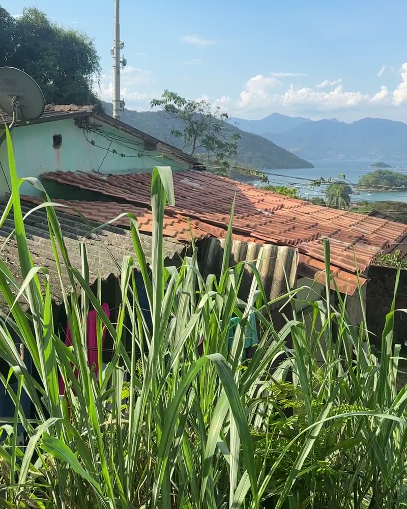 Blick vom Hang über Abraão über Hausdächer auf die Bucht der Ilha Grande